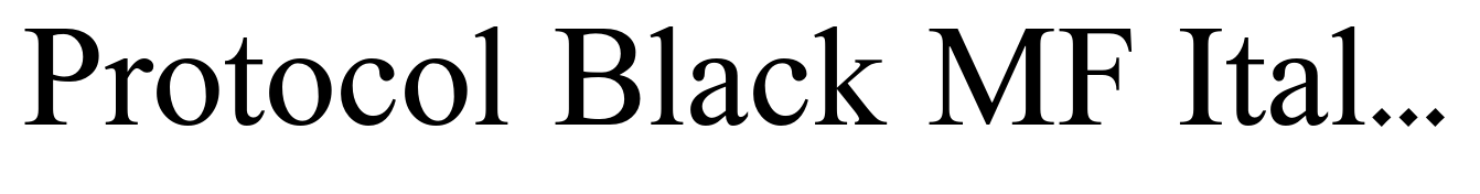 Protocol Black MF Italic